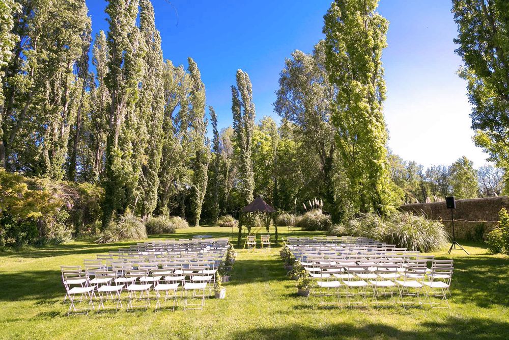 Ceremony chairs lined up on the lawn, under the tall trees