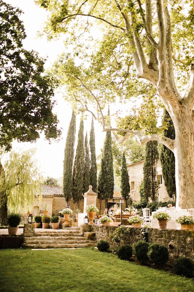 The garden steps under the plane trees