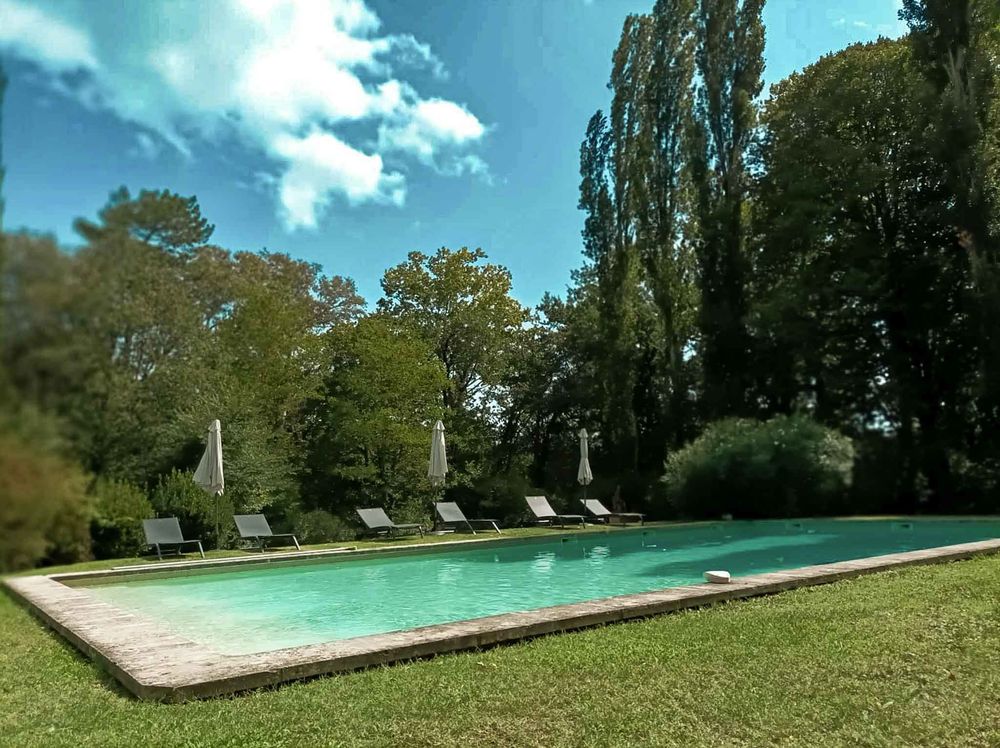 The estate pool, edged with lawn and tall trees